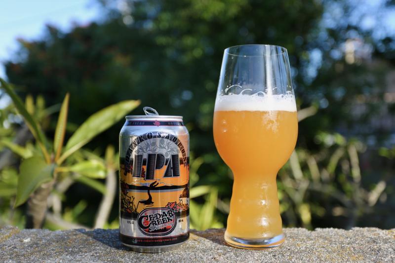 Dankosaurus IPA